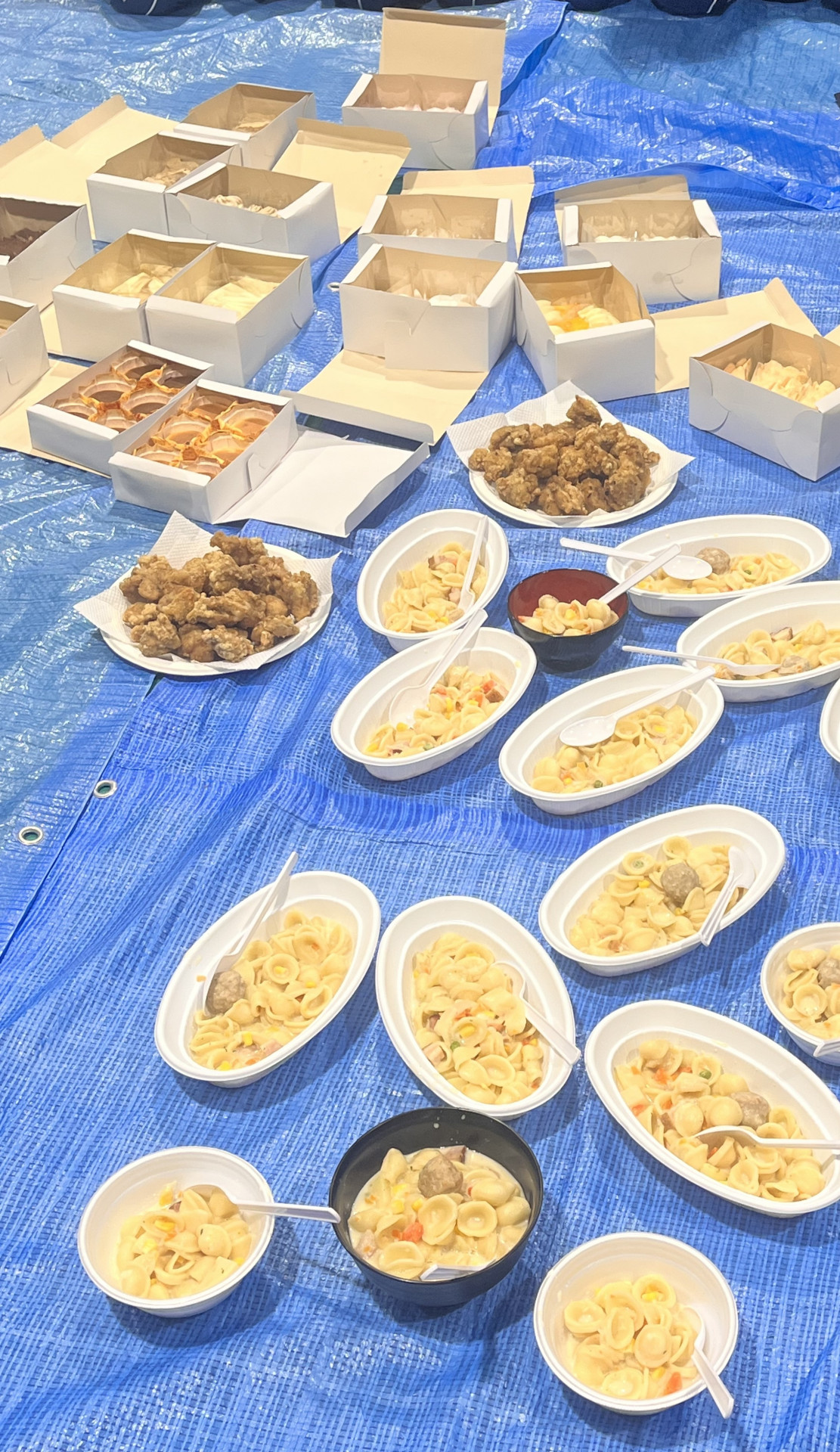 R71225g-volleyball (3)